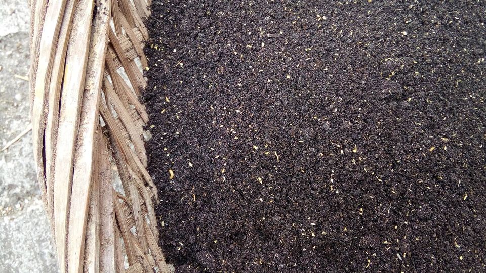 Black Compost/soil (mushroom compost)