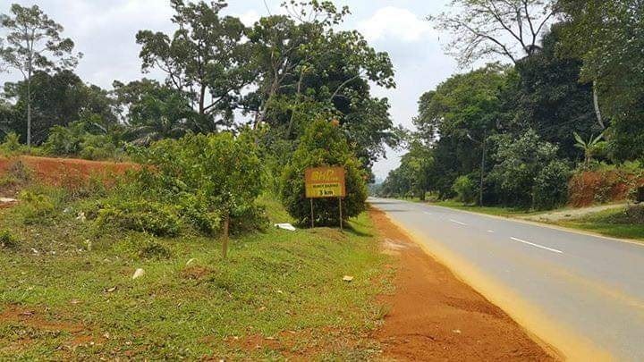 Tanah lot banglo TEPI JALAN BESAR KG TOKDOR ,AJIL, Hulu Terengganu untuk dijual