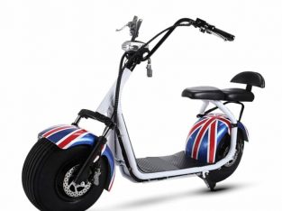 1000W Electric Harley Scooter