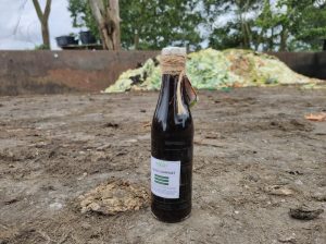 Liquid Compost help plant immunity