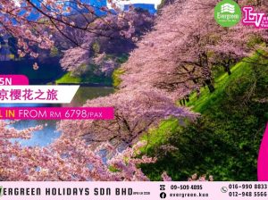 Hokkaido’s Sakura