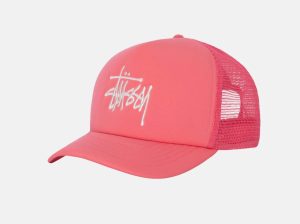 STUSSY 23 New Collection